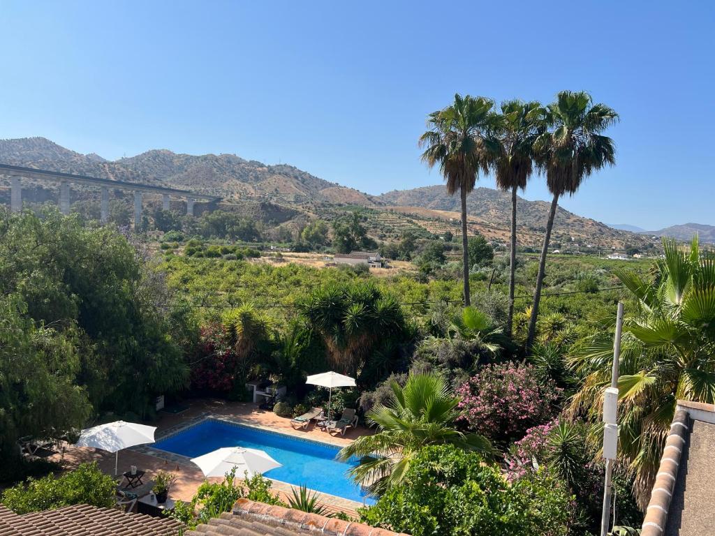a view of the pool from the house at La Finca Blanca in Alora