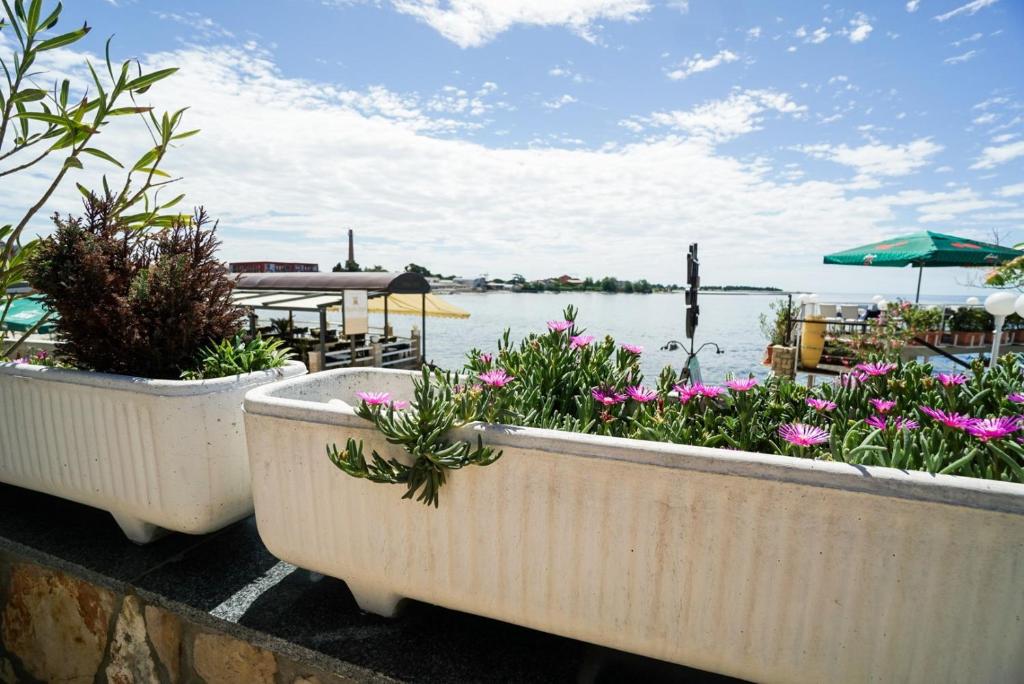 Apartments with WiFi Rozac, Umag - 27209