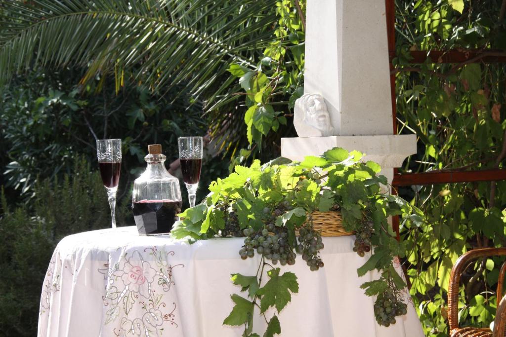 Zahrada ubytování Villa Rustika