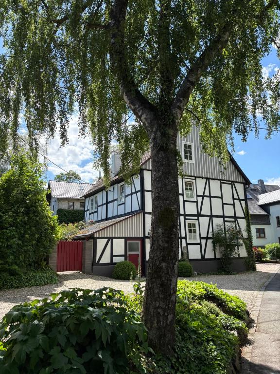 an old white and black building with a tree at Fachwerkliebe Villa Mia in Olsberg