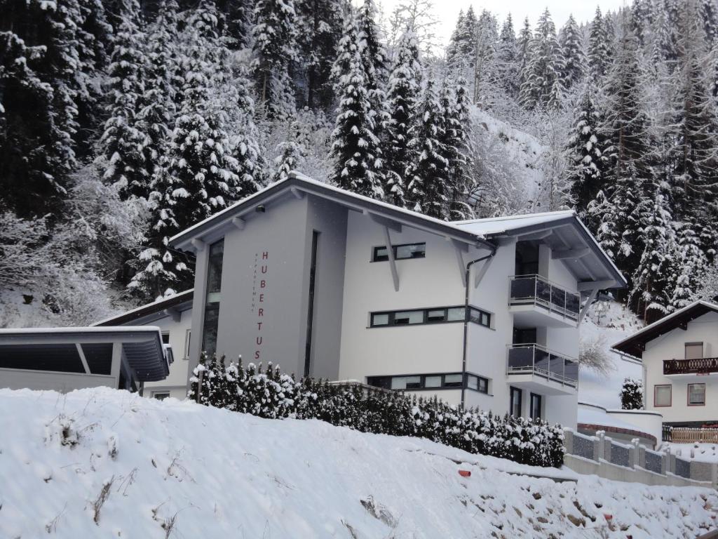 Appartement Hubertus v zime