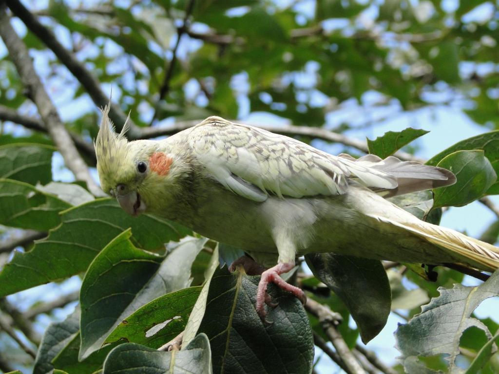  Pousada Romântica Serra da Mata