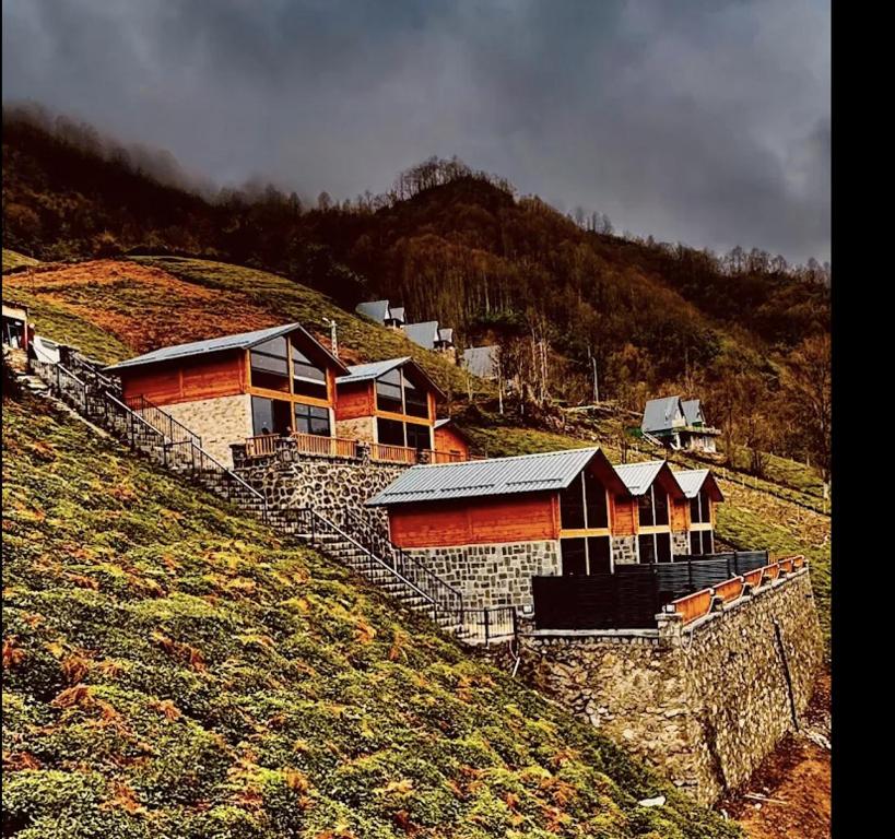 a group of houses on top of a hill at Vadi Ahşap Doğa Evleri in Ardeşen