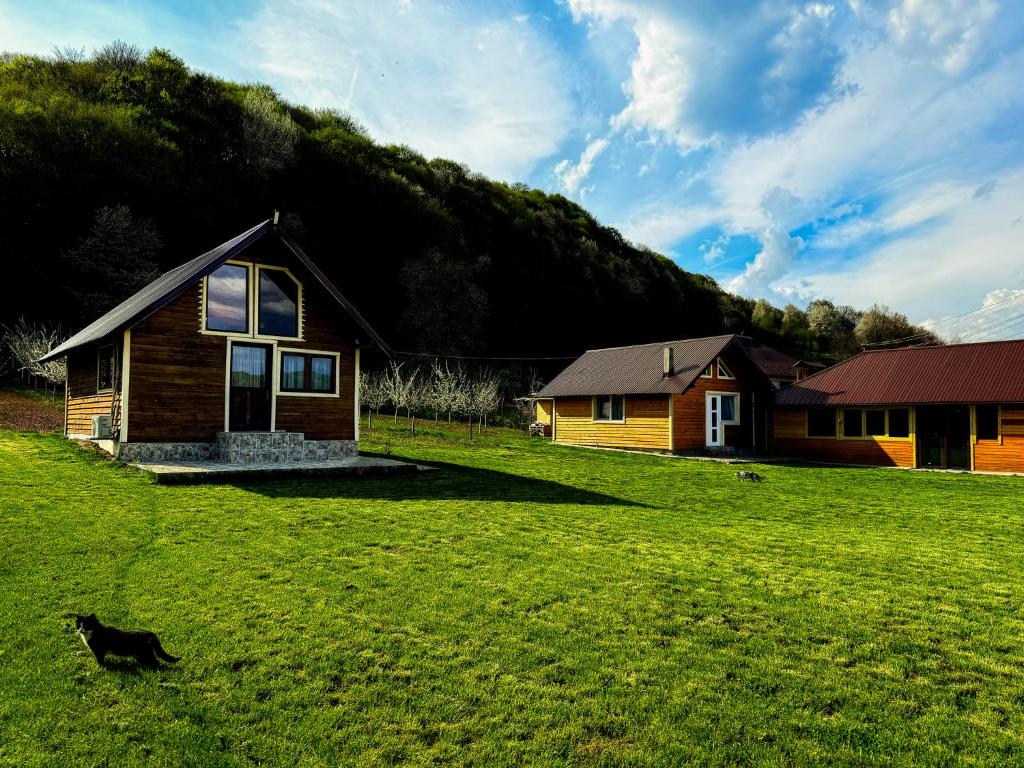 a cat laying in the grass in front of a house at Livada Bunicilor in Zamfireşti