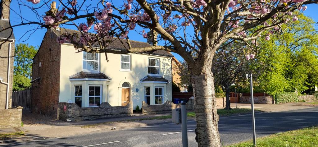 a white house with a tree in front of a street at Mill Villa Pakefield in Pakefield