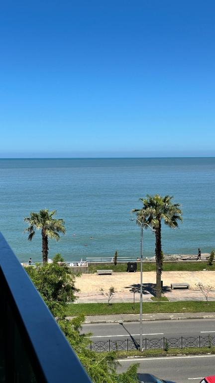 a view of a beach with palm trees and the ocean at Aqua Batumi 44 in Batumi