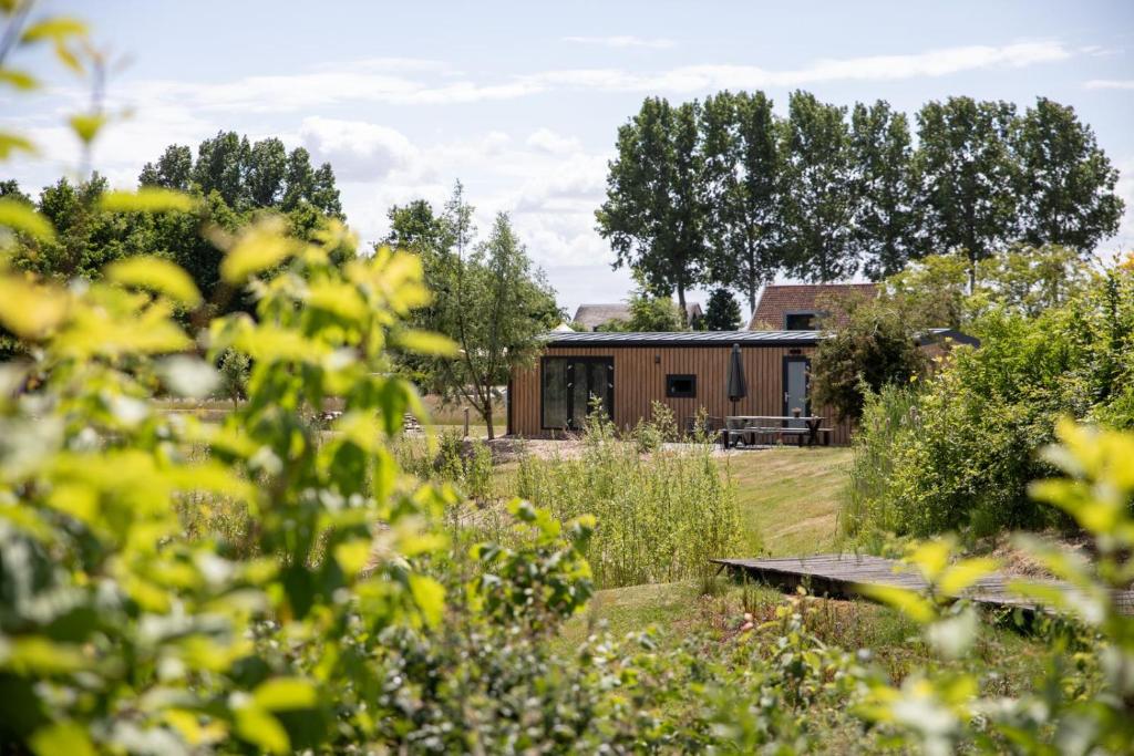a house in the middle of a garden at De Eend - Tiny house in de Zeeuwse Natuur in Driewegen