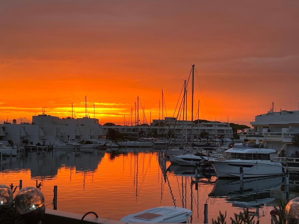 Logement style Marina Port Camargue