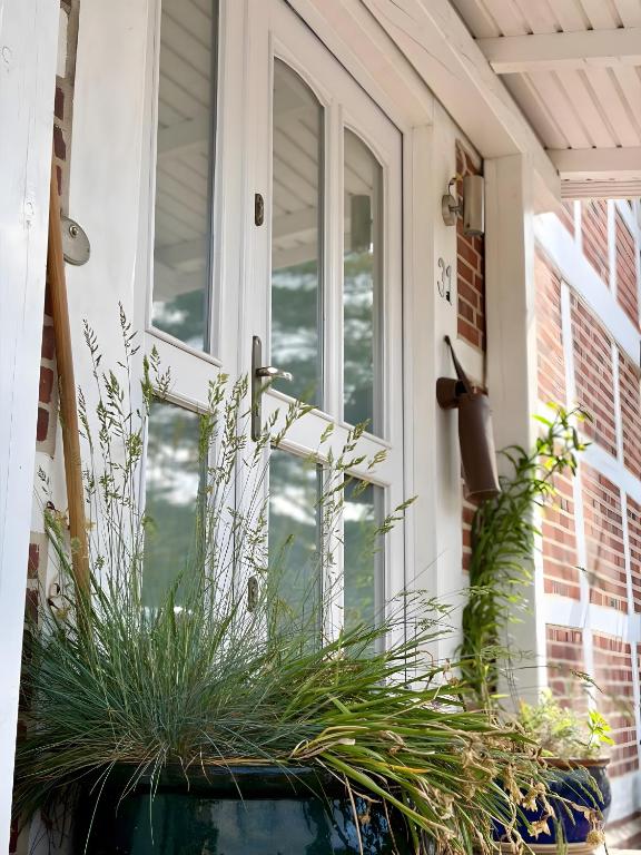 a front porch with plants in a pot at Elbparadies in Stade