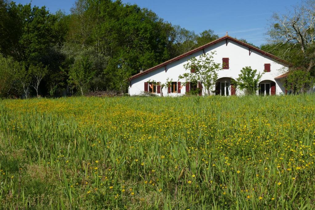 a white house in the middle of a field of flowers at Ondas Eco-Gîtes in Arsagne