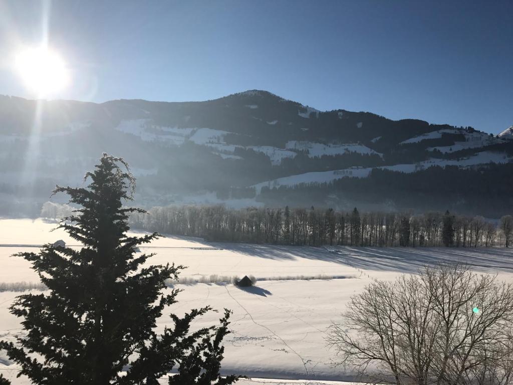 un campo cubierto de nieve con un árbol frente a una montaña en Ferienwohnung Dani I en Gröbming