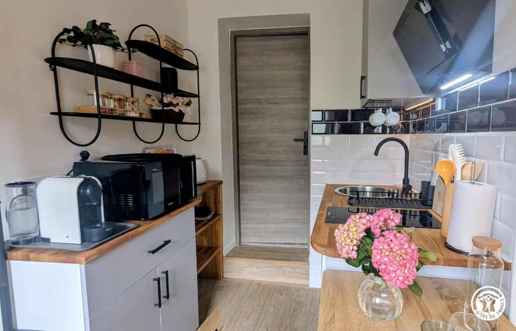 a kitchen with a counter with a sink and a microwave at Le Tandem in Losne