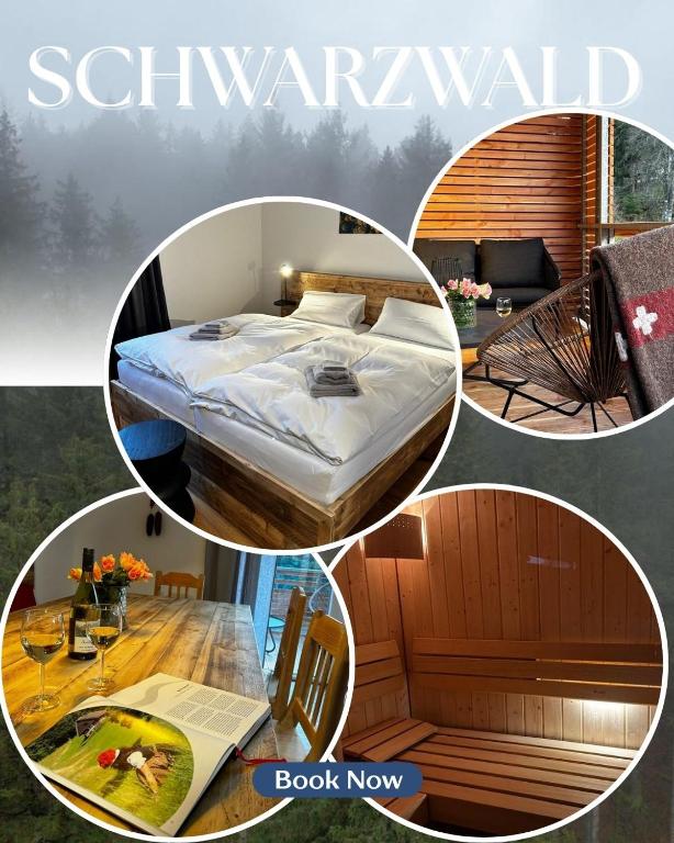 Feldberg Apartment - direkt an der Skipiste - mit Sauna - Housity