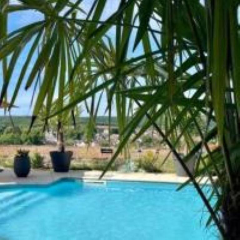a view of a swimming pool with a palm tree at Hôtel de Charme By Arts & Millésimes in Essoyes