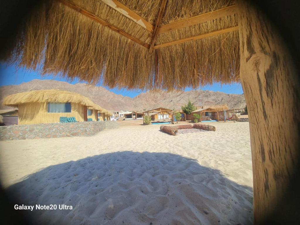 a shadow of a straw umbrella on a beach at Viva La Vida Beach Camp in Nuweiba