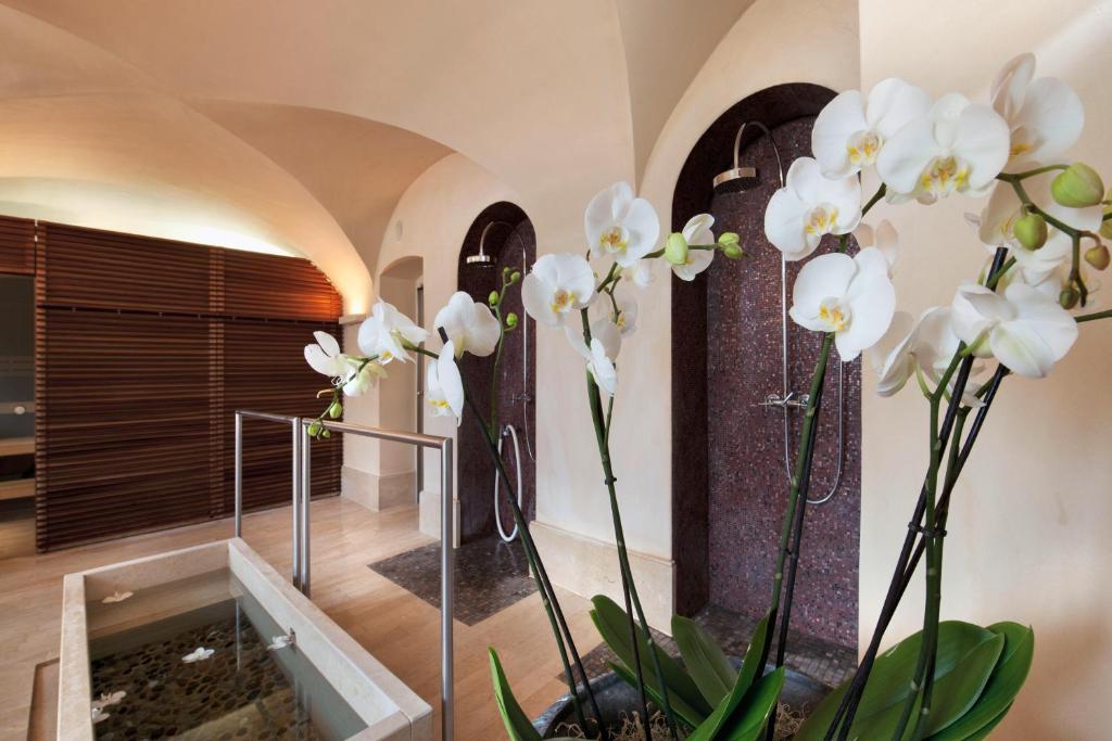 Fotografie z fotogalerie ubytování Limmathof Baden - Historisches Haus & Spa v destinaci Baden