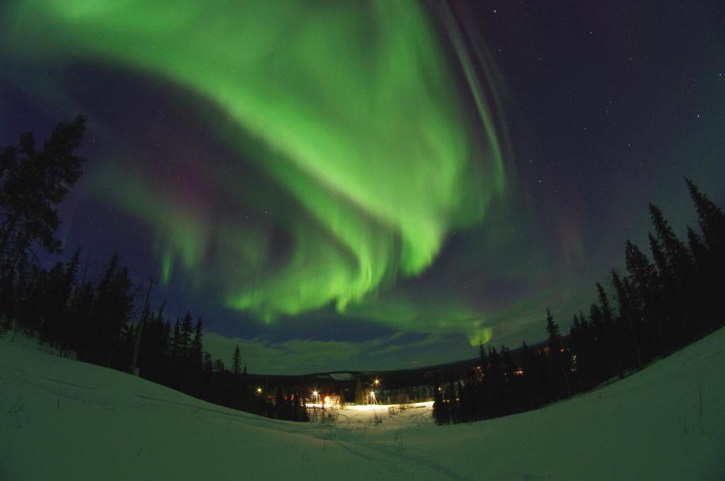 une image de l'aurore dansant dans le ciel dans l'établissement Lapland Snow Cabin, à Masugnsbyn