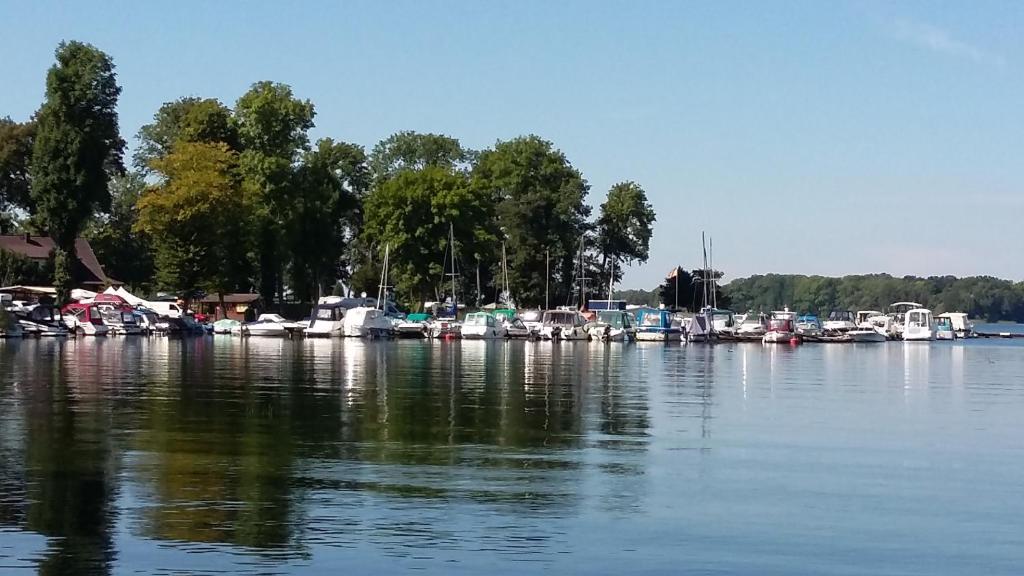 um grupo de barcos estão ancorados num lago em Ferienwohnung am Schweriner See em Schwerin
