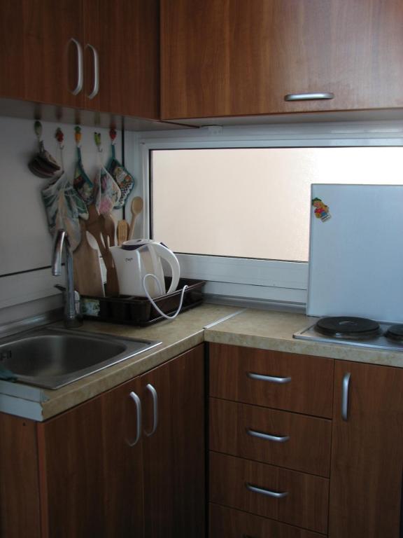 Kuchyň nebo kuchyňský kout v ubytování Guest House Ivo Jovanovic