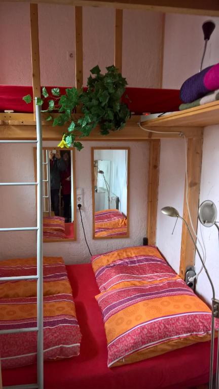 a room with two bunk beds and a mirror at Theater am Eck in Freiburg im Breisgau