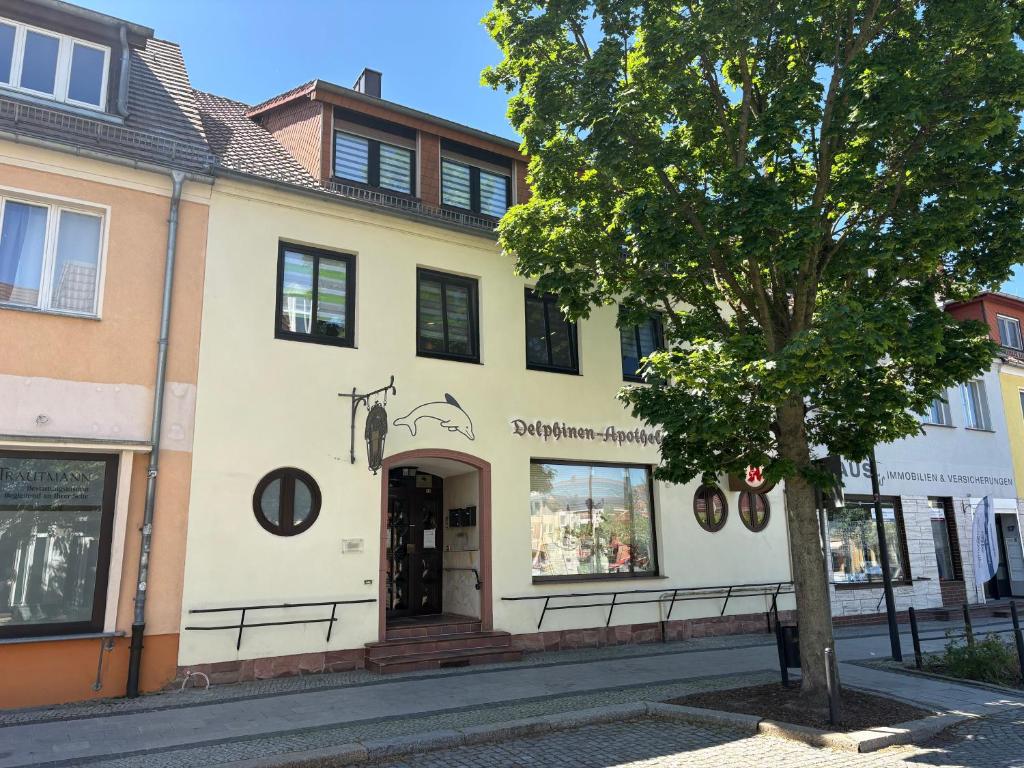 a building on a street with a tree in front at Haus Delphinen in Lübben