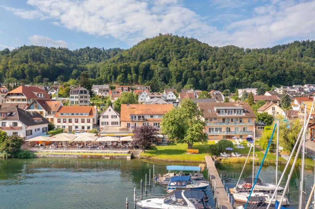 a town on a river with boats in a harbor at Hotel Pension Café Hasler in Bodman-Ludwigshafen