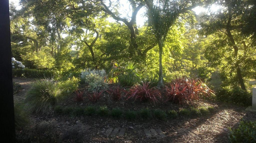 Cambridge Coach House - Resim 38