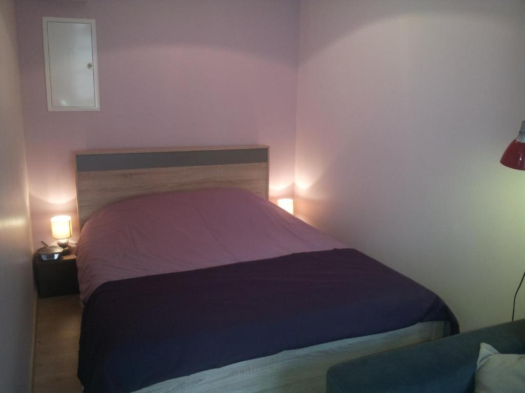 ル・ピュイ・アン・ヴレにあるAu Puy Saint Jacquesのベッドルーム1室(ベッド1台、照明2つ付)