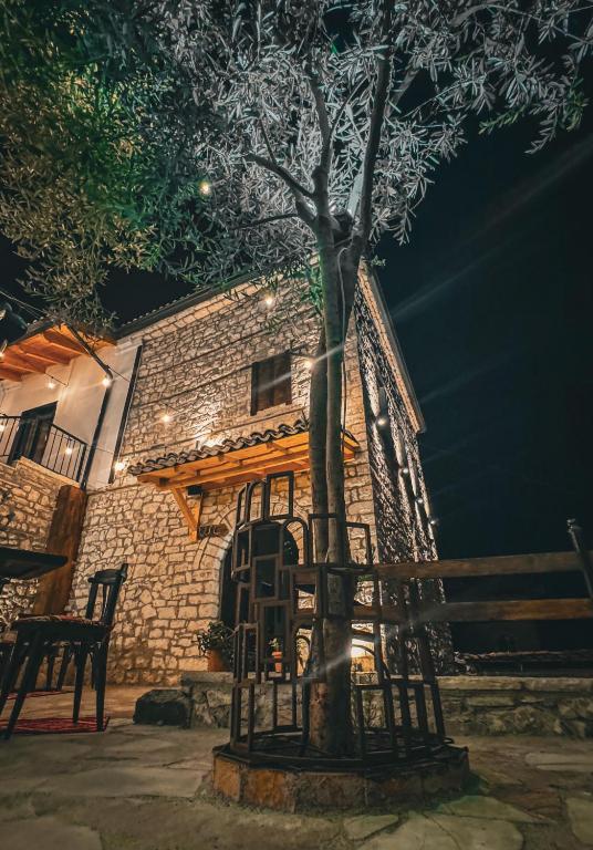 a tree in front of a building at night at Stone Villa Berat in Berat