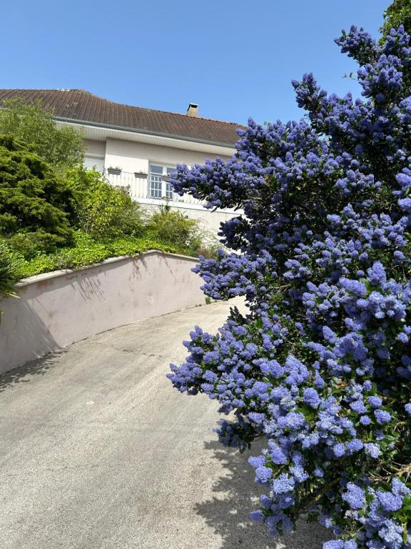 a bush of purple flowers on the side of a road at Villa grain de sel in Étaples