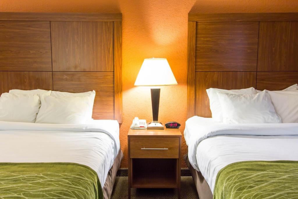 Comfort Inn & Suites Charleston Airport Convention Center photo