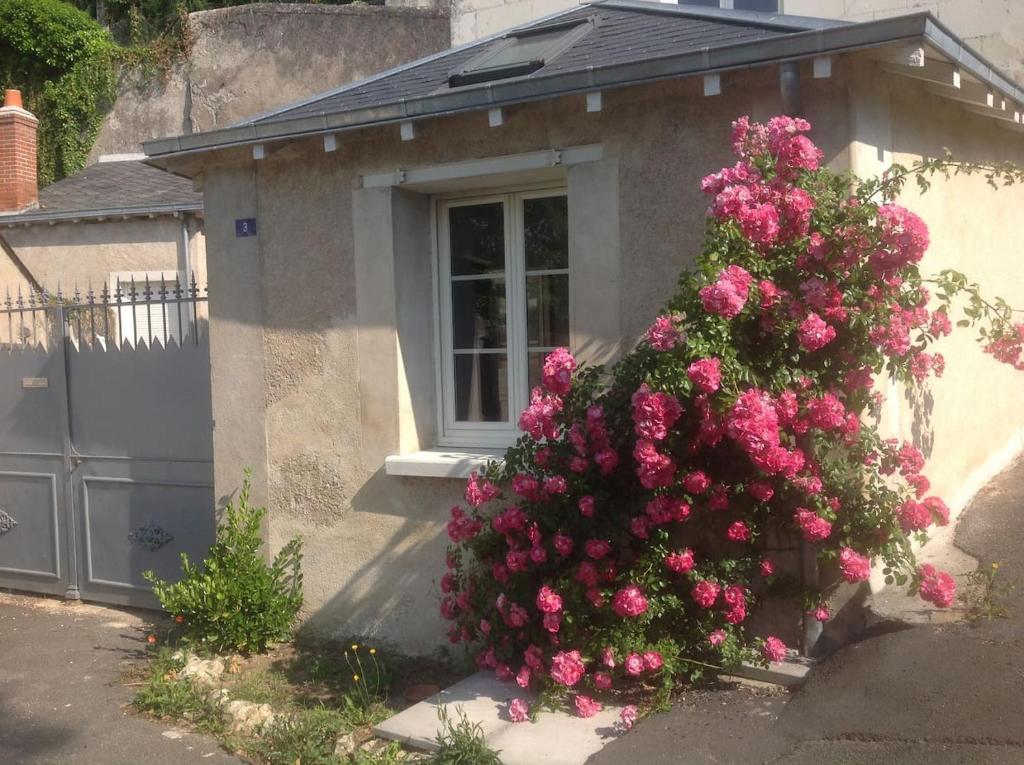 a bush of pink flowers in front of a house at Maîson Vigneronne in Nazelles