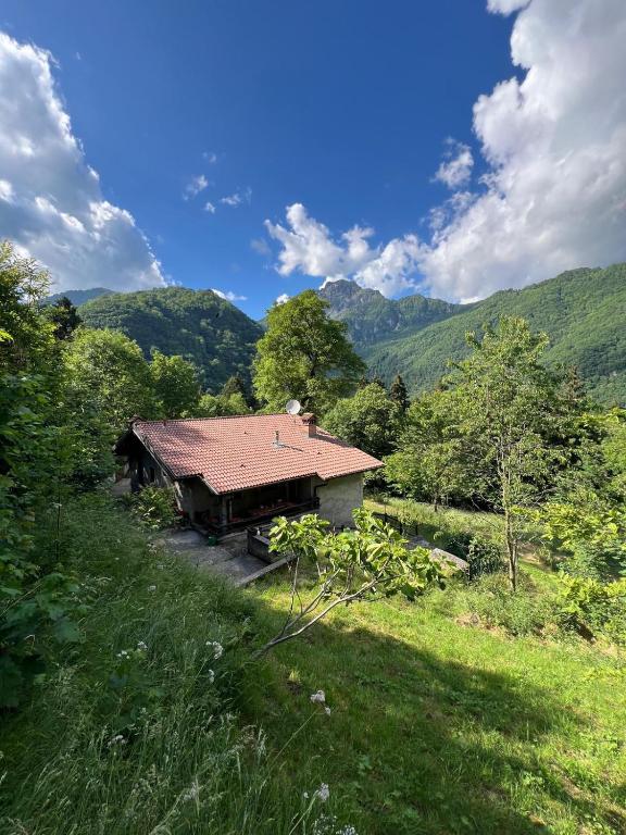 a house with a red roof in a field at Chalet Calcar in Avenone