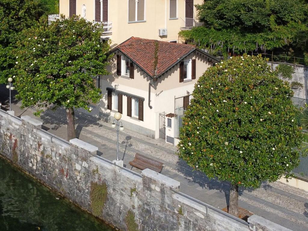 a tree and a bench next to a building at Casa Caprice in Cannero Riviera