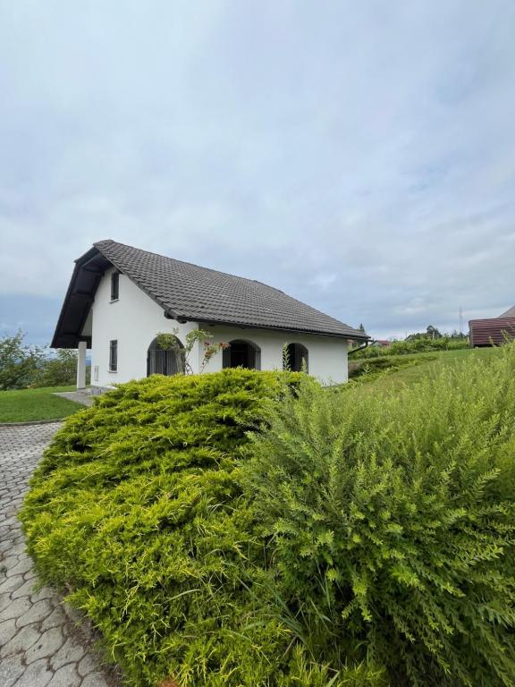 a house with a large green bush in front of it at Casa Rotti - Countryside Retreat near Krško in Krško