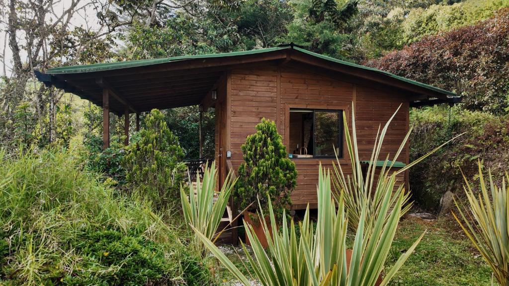 a small wooden cabin in the middle of a forest at MAGDA Nature Lodge in El Retiro