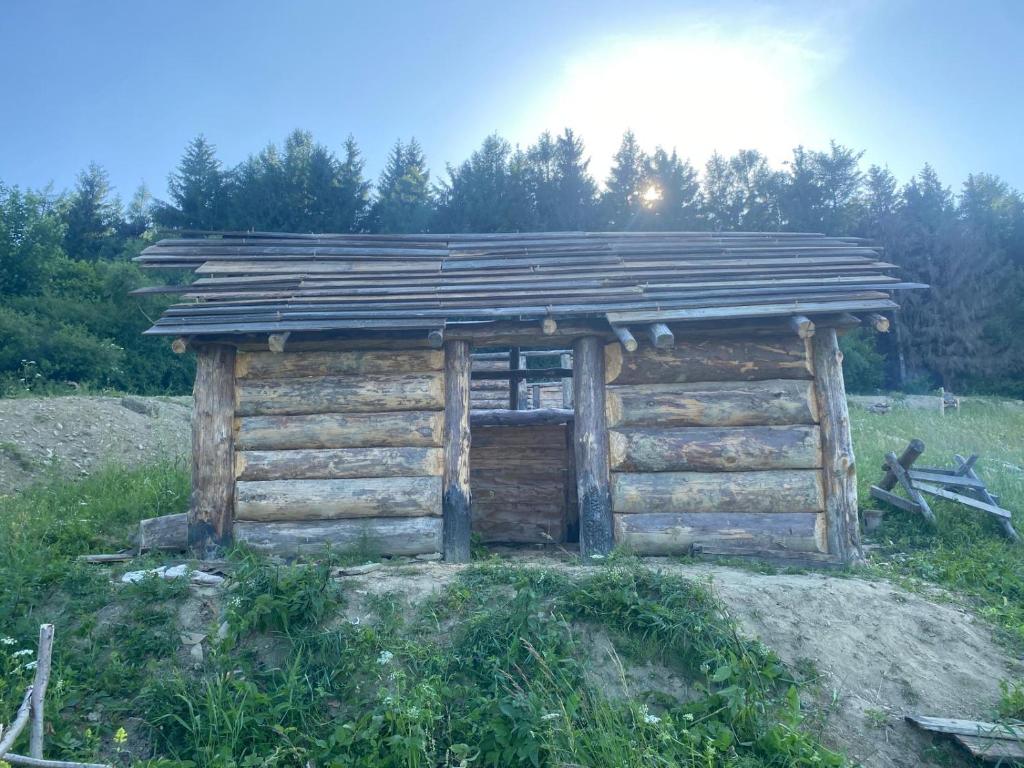 a small log cabin with a wooden roof at Osada Słowiańska in Chyrowa