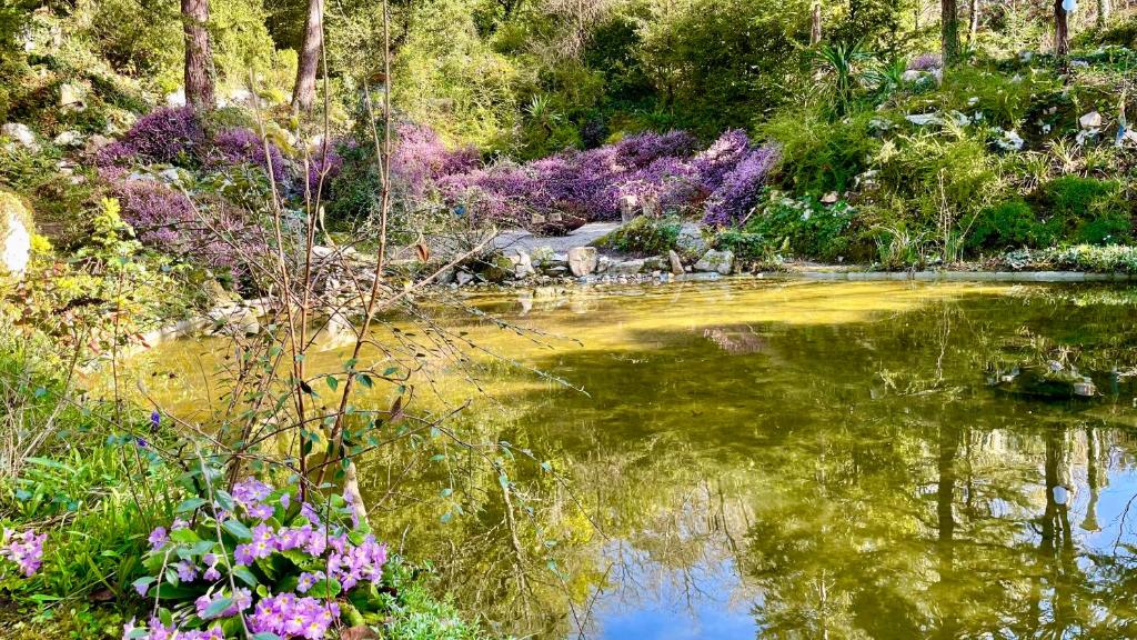 a pond in a garden with flowers and trees at L'Autre Paradis-Piscines naturelles-Plages-Jardin enchanté-Sauna in Poligny