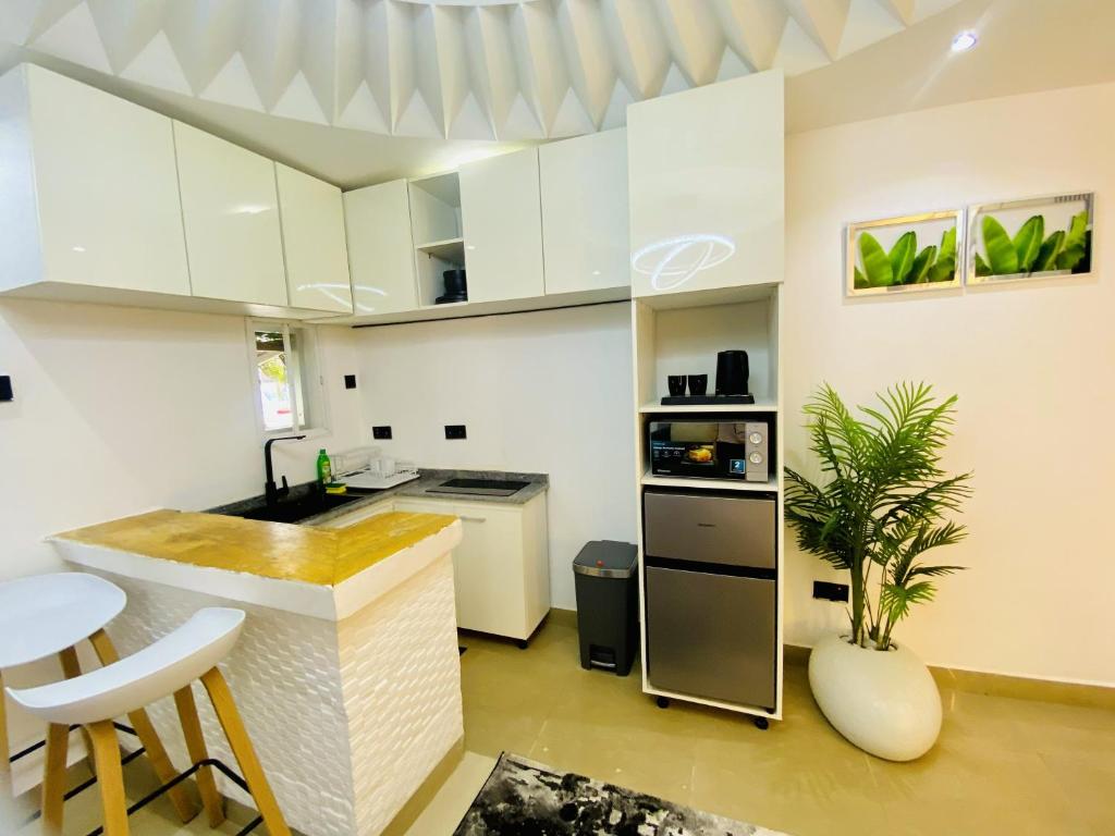 a kitchen with white cabinets and a kitchen island with a plant at The Royal Enclave in Abuja