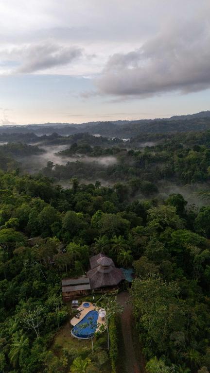 an aerial view of a jungle with a building in the middle at Corcovado Private Houses-Villas-Tents-Nature-Relaxing in Puerto Jiménez