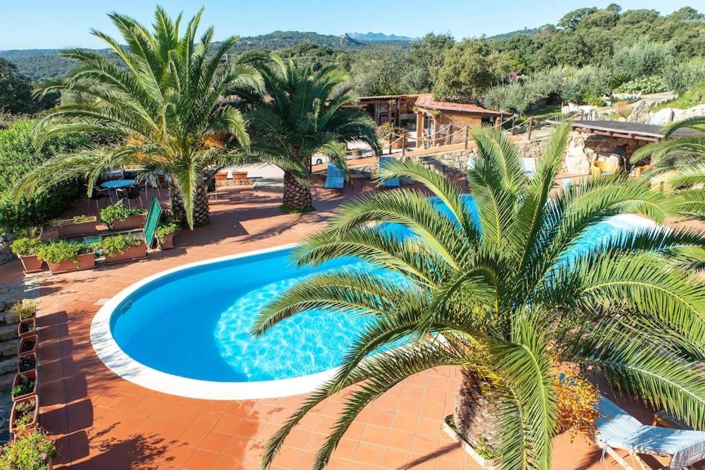 an overhead view of a swimming pool with palm trees at Résidence Villa Smeralda in Telti