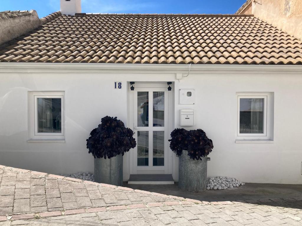 a white house with two vases with flowers at Casa Tranquila in Tózar