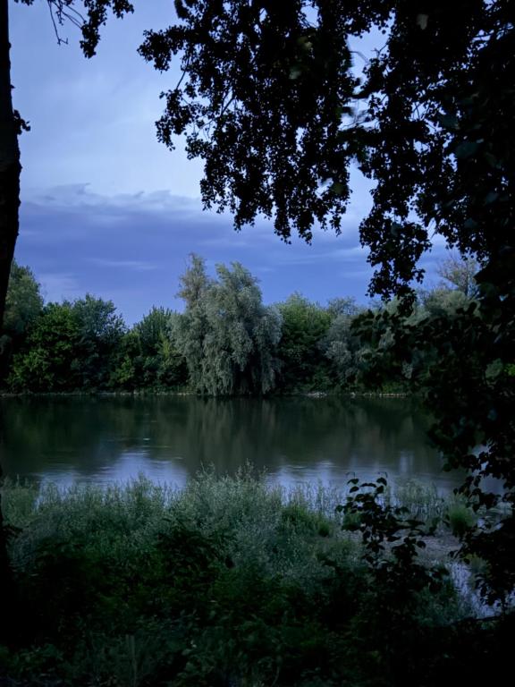 a view of a lake with trees and grass at Tri topole Brioni in Kočino Selo