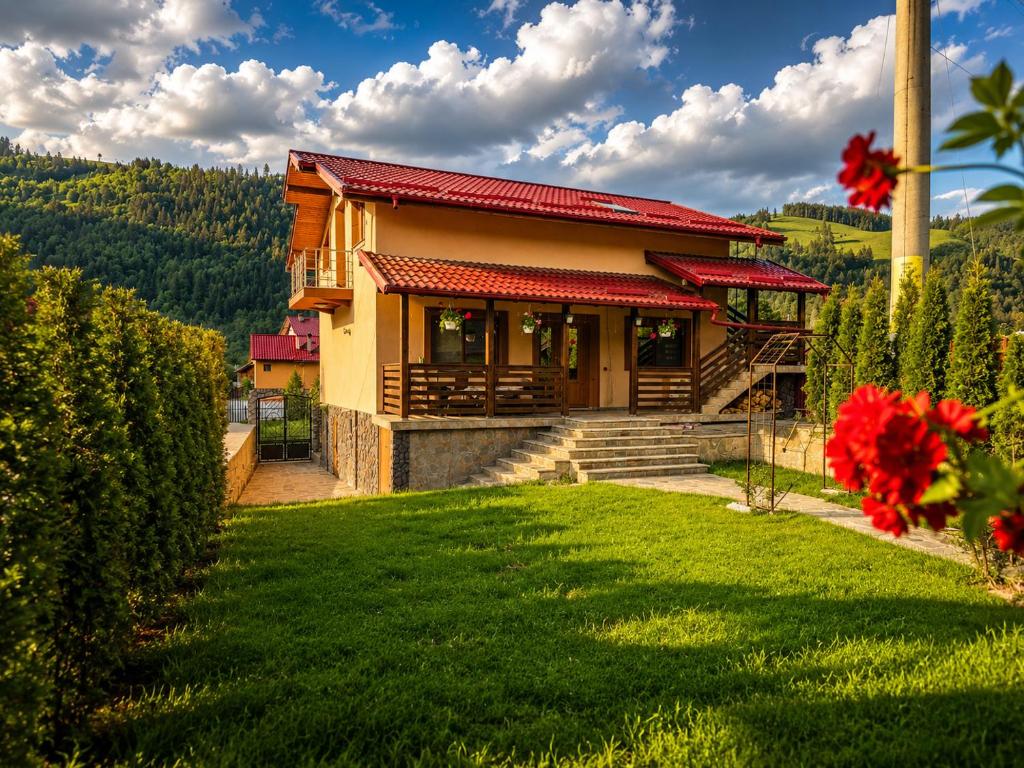 a house with a green lawn in front of it at Casa TOP Cristina in Poiana Teiului
