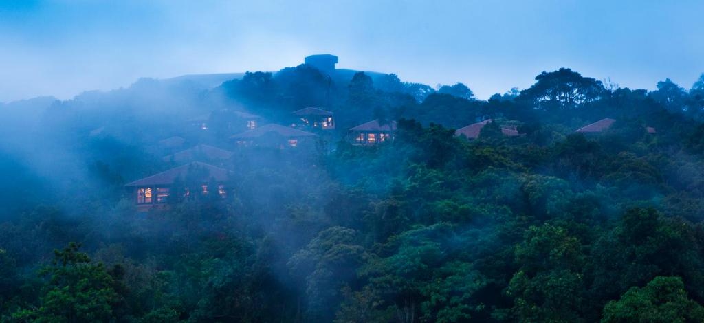a house on a hill in the middle of a forest at Taj Madikeri Resort & Spa Coorg in Madikeri