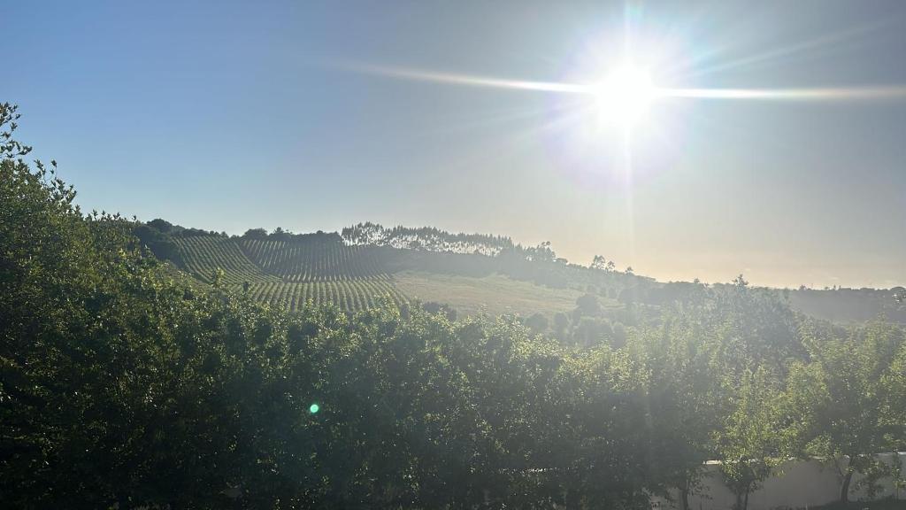a sun shining over a vineyard in a field at PiuPiuStays in Vermelho