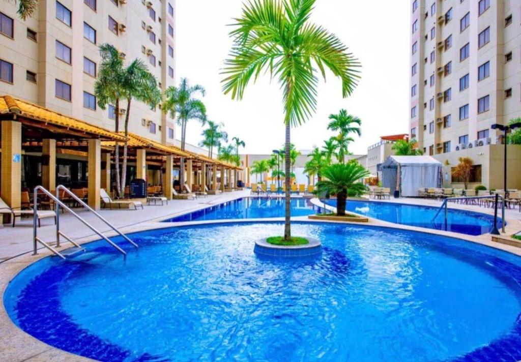 a large swimming pool with a palm tree and buildings at Boulevard Park in Caldas Novas