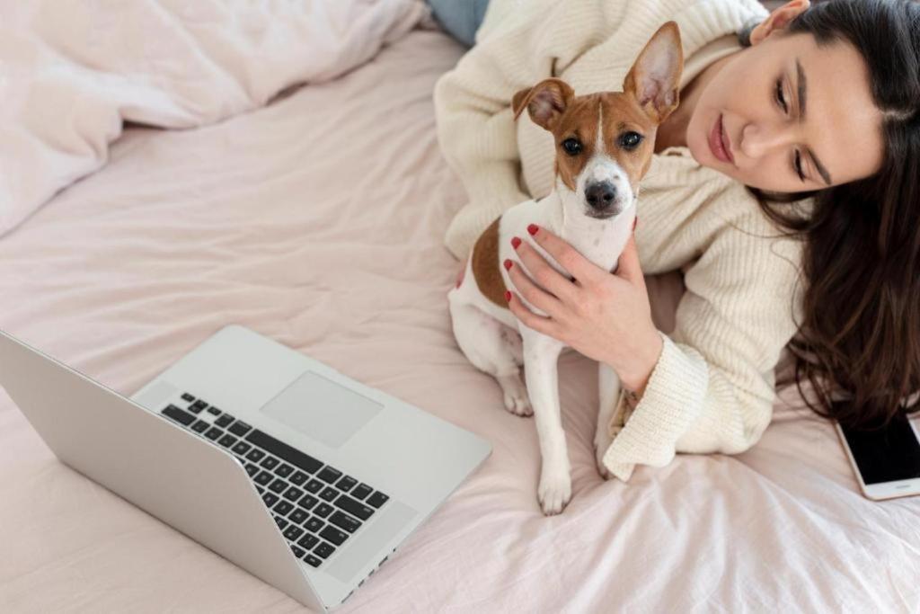 a woman laying on a bed with a dog and a laptop at Traveler Rooms in Rødby