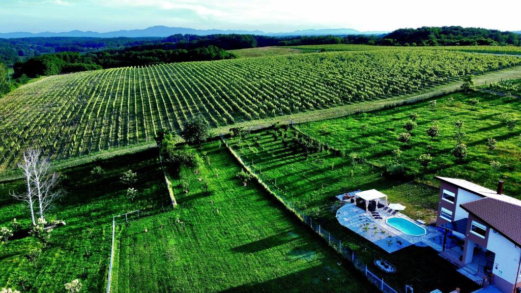 an aerial view of a house and a large field at Vinewood in Grabrovnik