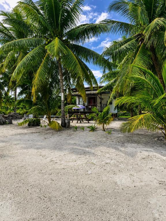 a house on the beach with two palm trees at Hanivai Beach Bungalow in HUH